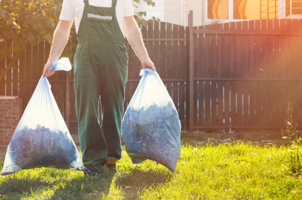Best Construction Debris Removal  in Hainesvle, IL