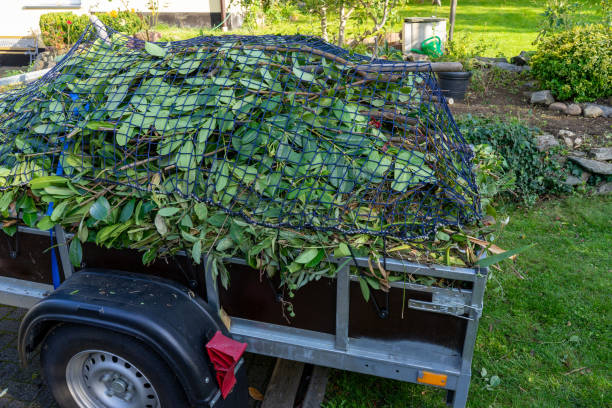 Best Furniture Removal  in Hainesvle, IL